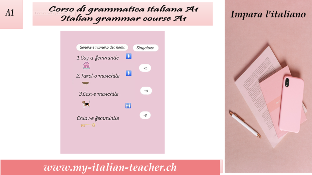 Gender and number of nouns in Italian 5