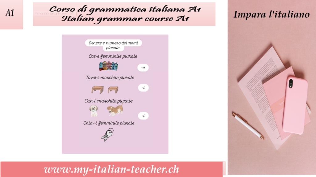 Gender and number of nouns in Italian 6